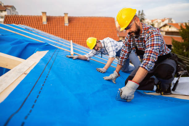 Residential Roof Replacement in Donalsonville, GA